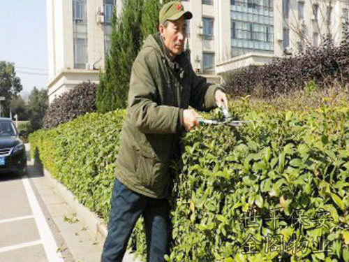 綠化維護(hù)
