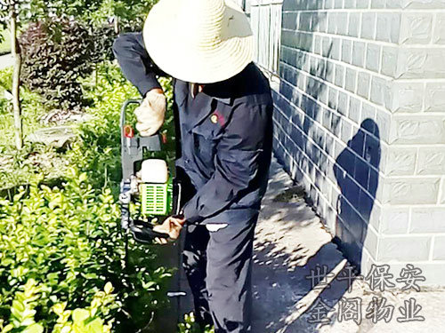 綠化維護(hù)